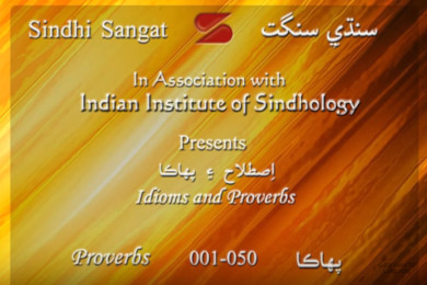 Idioms &amp; Proverbs